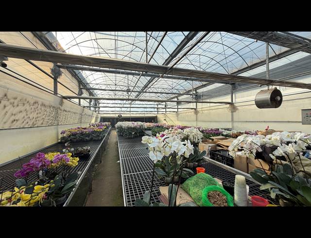 40,471M² SMALLHOLDING FOR SALE IN BENONI AH